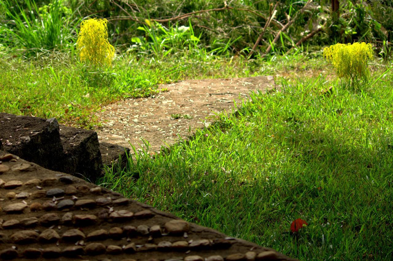 Pepper Hills Cottages เอลลา ภายนอก รูปภาพ