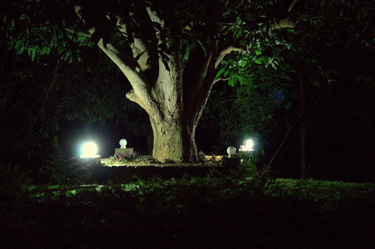 Pepper Hills Cottages เอลลา ภายนอก รูปภาพ