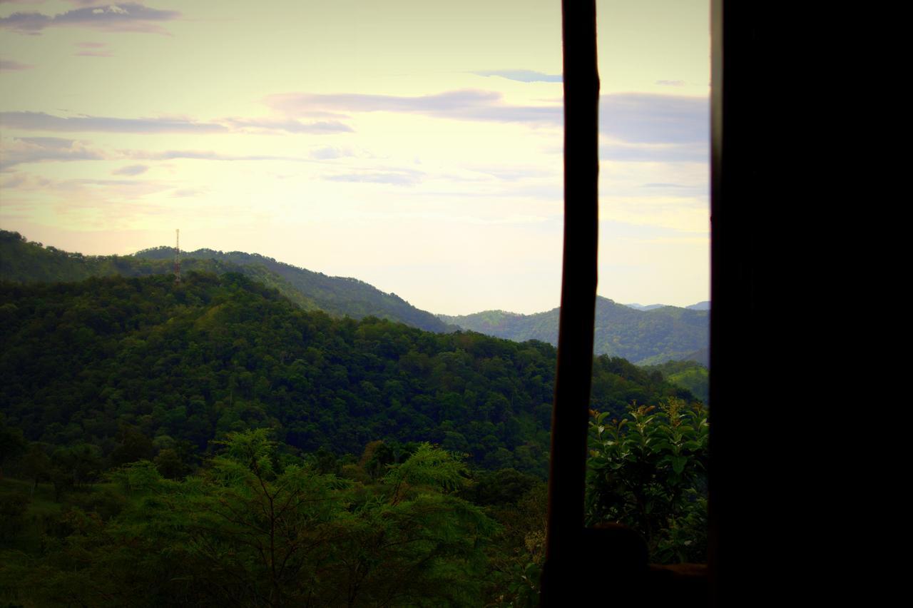 Pepper Hills Cottages เอลลา ภายนอก รูปภาพ