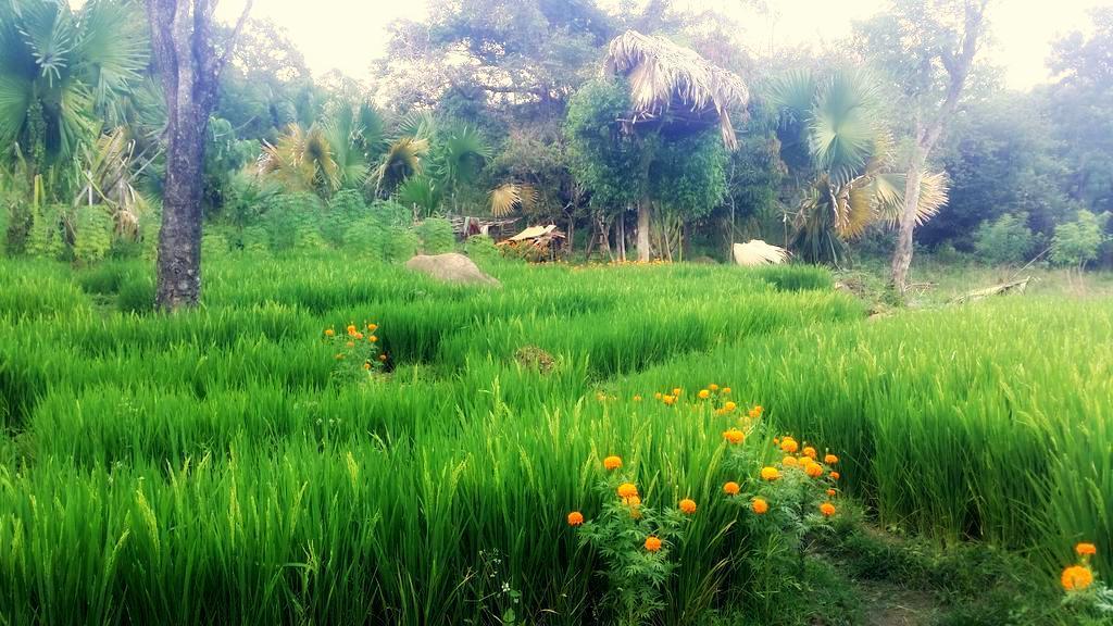 Pepper Hills Cottages เอลลา ภายนอก รูปภาพ