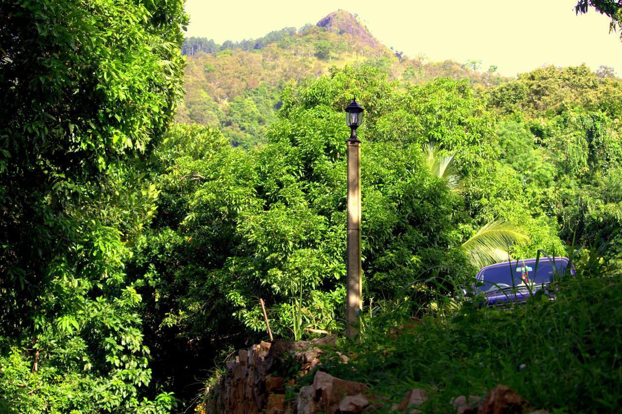 Pepper Hills Cottages เอลลา ภายนอก รูปภาพ