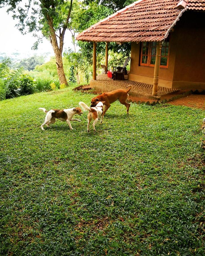 Pepper Hills Cottages เอลลา ภายนอก รูปภาพ